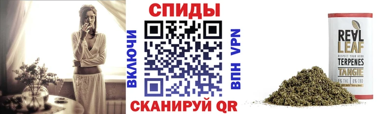БУТИРАТ BDO  mega маркетплейс  Тверь 