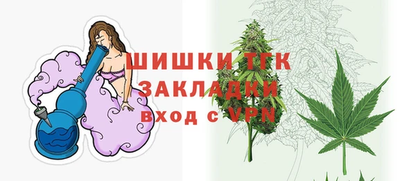 индика Липки