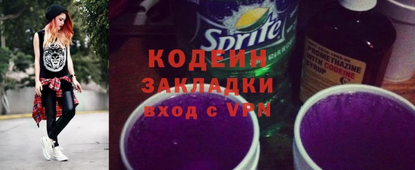 индика Липки