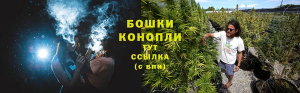 индика Липки