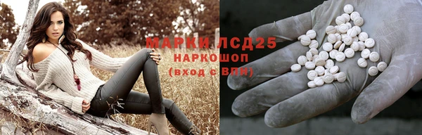 индика Липки