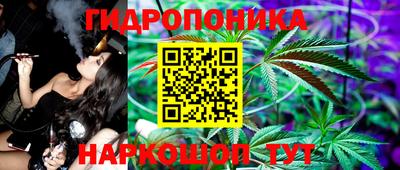 ешки Будённовск