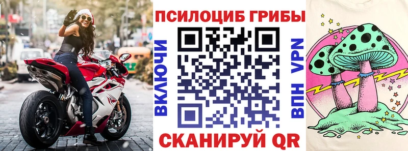 наркота  Тверь  Галлюциногенные грибы Cubensis 