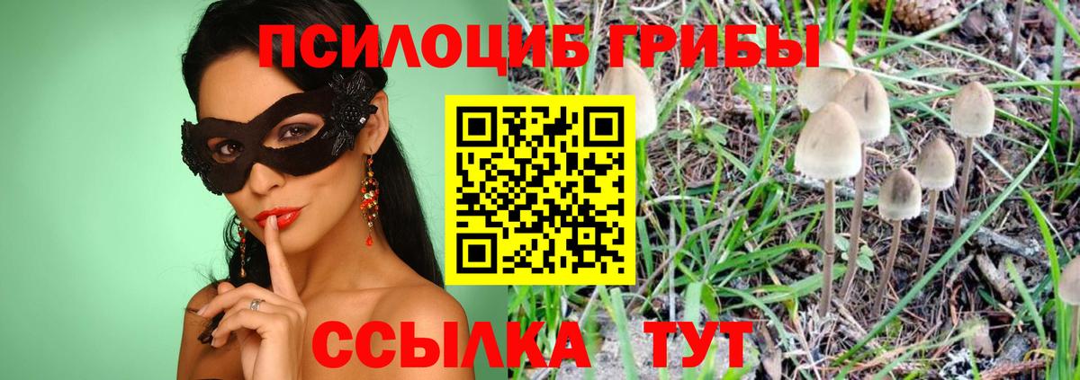 Псилоцибиновые грибы Psilocybine cubensis  Вход с VPN  Тверь 