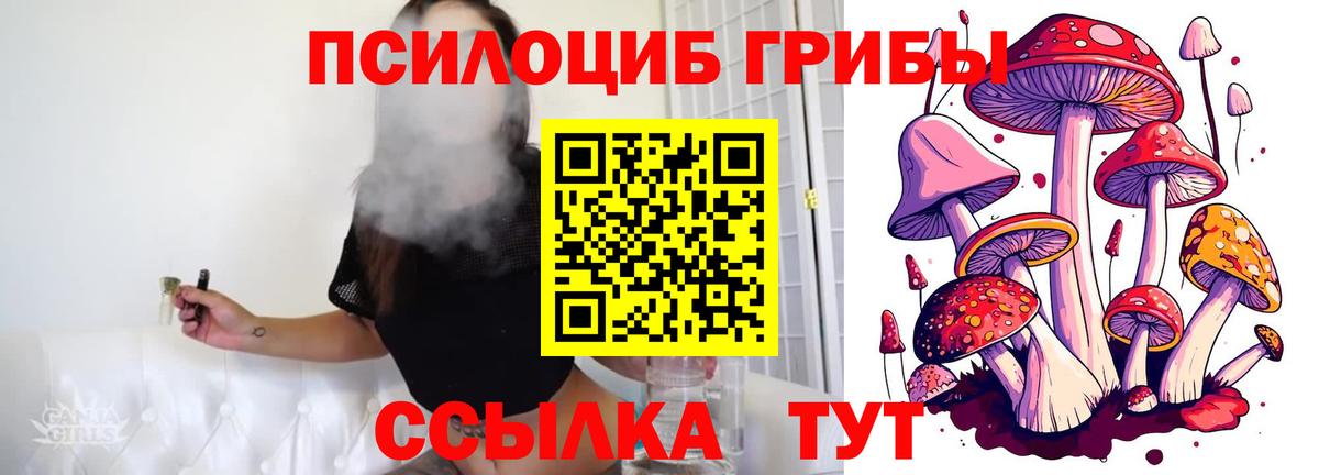 Галлюциногенные грибы Magic Shrooms Тверь
