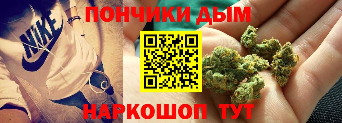 Тверь  МАРИХУАНА ГИДРОПОН  Каннабис Bruce Banner  Вход с VPN 